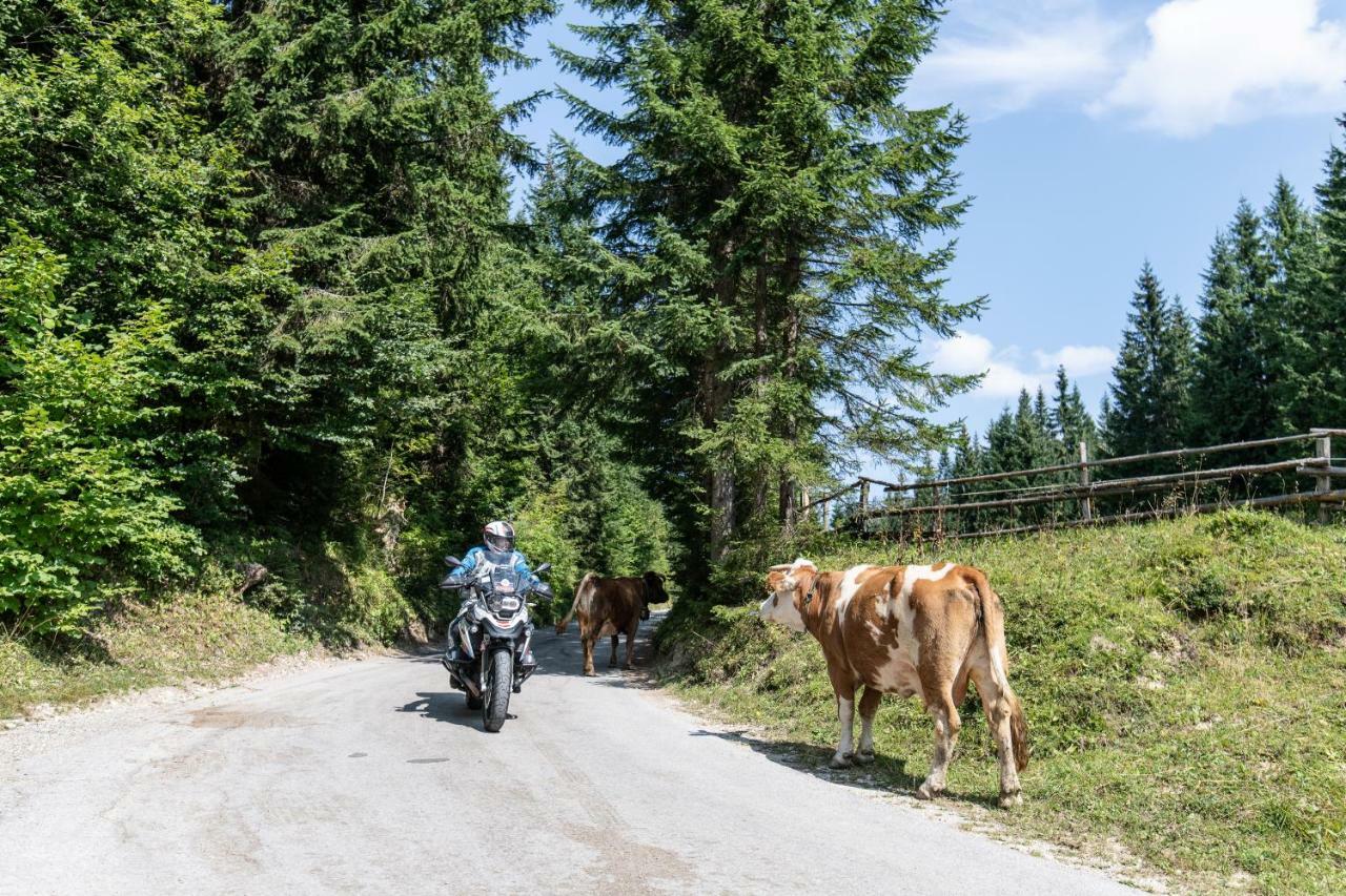Ferienwohnungen Panorama Harrys Bike Tours Villach Zewnętrze zdjęcie